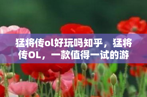 猛将传ol好玩吗知乎，猛将传OL，一款值得一试的游戏