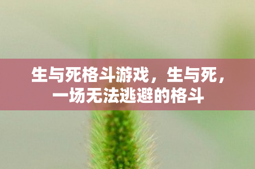 生与死格斗游戏，生与死，一场无法逃避的格斗