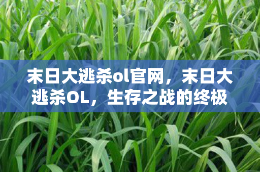 末日大逃杀ol官网，末日大逃杀OL，生存之战的终极挑战