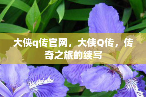 大侠q传官网，大侠Q传，传奇之旅的续写