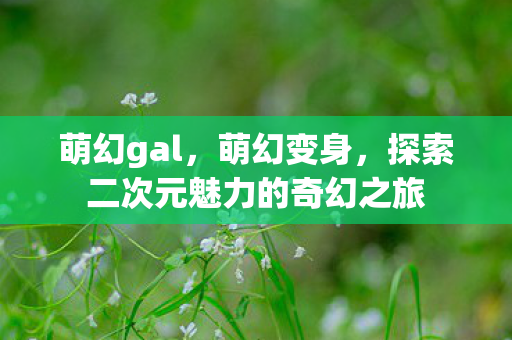 萌幻gal，萌幻变身，探索二次元魅力的奇幻之旅