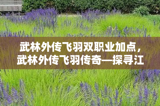 武林外传飞羽双职业加点，武林外传飞羽传奇—探寻江湖中的英雄梦