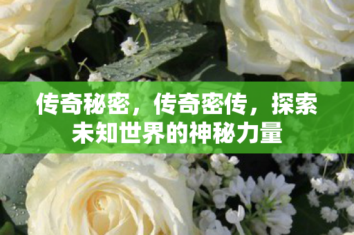 传奇秘密，传奇密传，探索未知世界的神秘力量