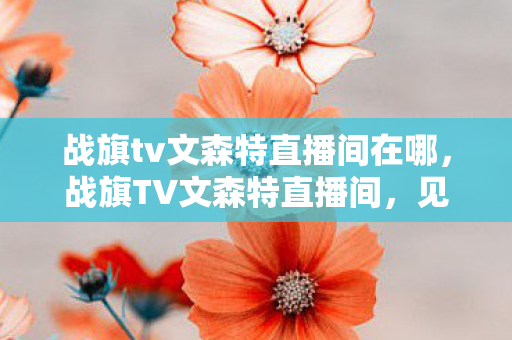 战旗tv文森特直播间在哪，战旗TV文森特直播间，见证真正的王者风采