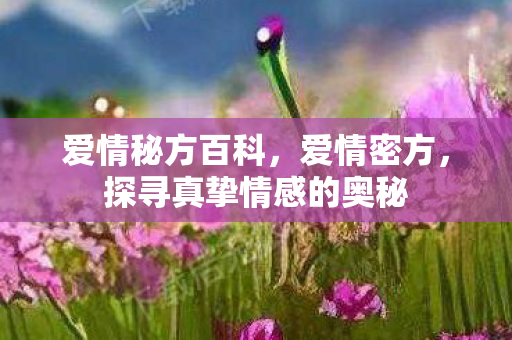 爱情秘方百科，爱情密方，探寻真挚情感的奥秘