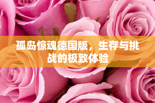 孤岛惊魂德国版，生存与挑战的极致体验