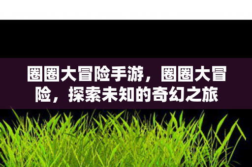 圈圈大冒险手游，圈圈大冒险，探索未知的奇幻之旅