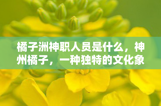 橘子洲神职人员是什么，神州橘子，一种独特的文化象征与地域魅力