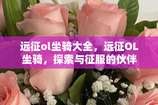 远征ol坐骑大全，远征OL坐骑，探索与征服的伙伴