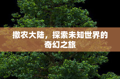 撒农大陆，探索未知世界的奇幻之旅