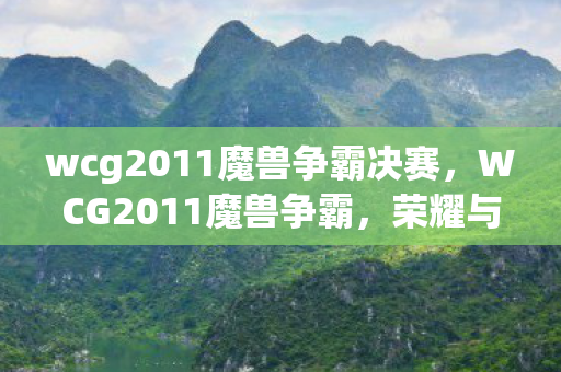 wcg2011魔兽争霸决赛，WCG2011魔兽争霸，荣耀与激情的碰撞