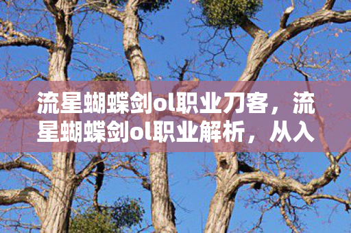 流星蝴蝶剑ol职业刀客，流星蝴蝶剑ol职业解析，从入门到精通