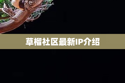 草榴社区最新IP介绍