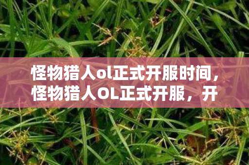 怪物猎人ol正式开服时间，怪物猎人OL正式开服，开启狩猎新纪元！