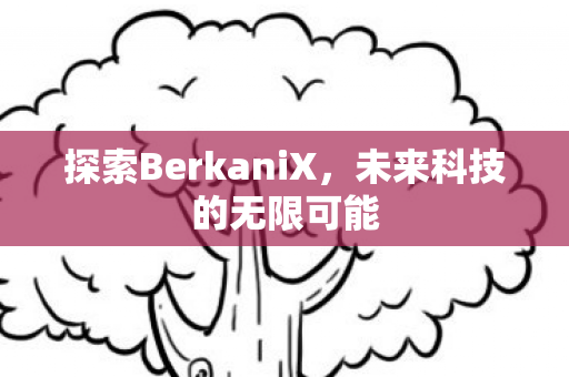 探索BerkaniX，未来科技的无限可能