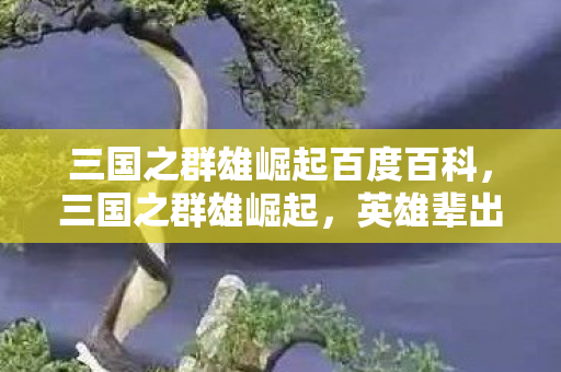 三国之群雄崛起百度百科，三国之群雄崛起，英雄辈出的时代