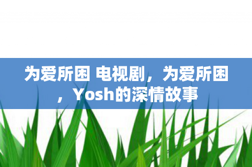 为爱所困 电视剧，为爱所困，Yosh的深情故事