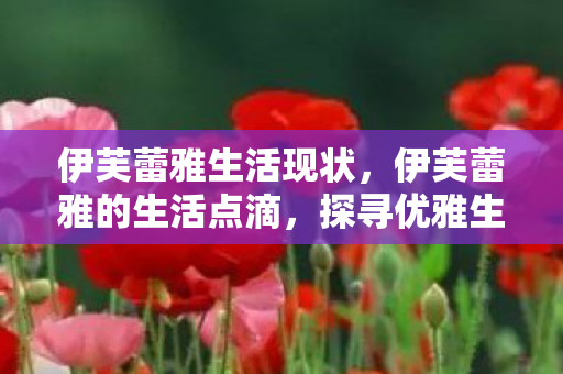 伊芙蕾雅生活现状，伊芙蕾雅的生活点滴，探寻优雅生活的真实面貌