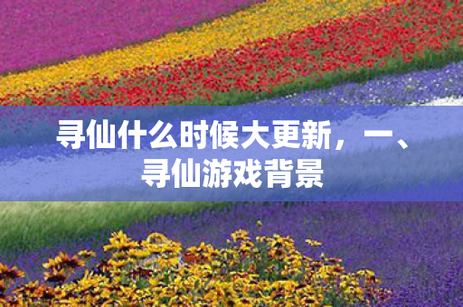寻仙什么时候大更新，一、寻仙游戏背景