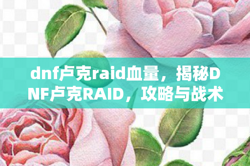 dnf卢克raid血量，揭秘DNF卢克RAID，攻略与战术深度解析