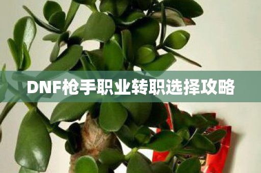 DNF枪手职业转职选择攻略