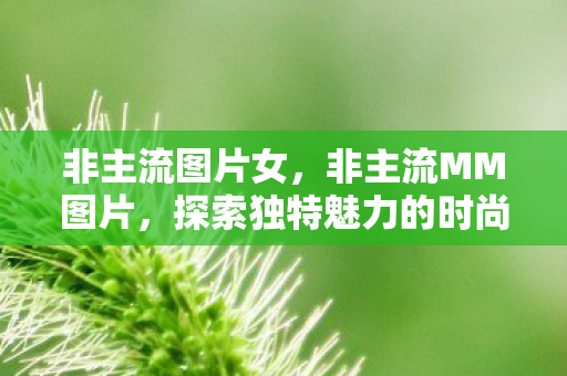 非主流图片女，非主流MM图片，探索独特魅力的时尚世界
