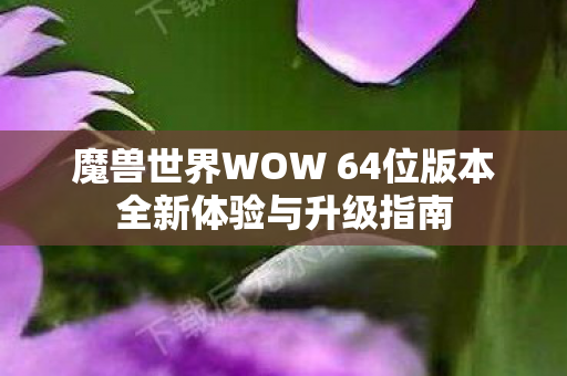 魔兽世界WOW 64位版本全新体验与升级指南
