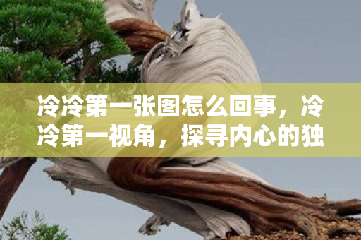 冷冷第一张图怎么回事，冷冷第一视角，探寻内心的独白与世界的冷漠