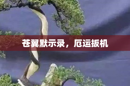 苍翼默示录，厄运扳机