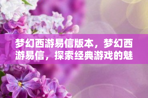 梦幻西游易信版本，梦幻西游易信，探索经典游戏的魅力与变迁