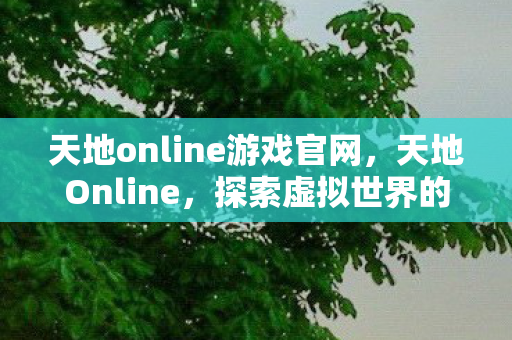 天地online游戏官网，天地Online，探索虚拟世界的无限可能