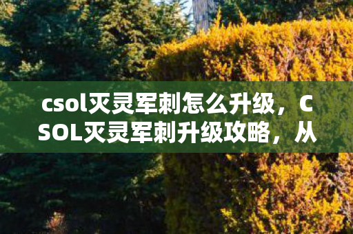 csol灭灵军刺怎么升级，CSOL灭灵军刺升级攻略，从新手到高手的全面指南