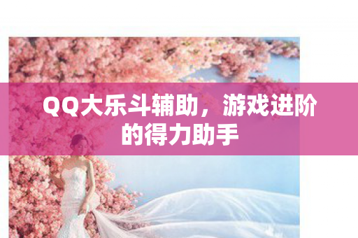 QQ大乐斗辅助，游戏进阶的得力助手