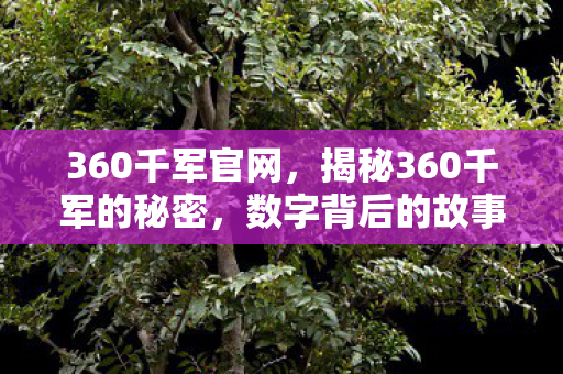 360千军官网，揭秘360千军的秘密，数字背后的故事