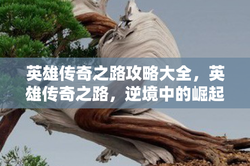 英雄传奇之路攻略大全，英雄传奇之路，逆境中的崛起与荣耀的铸就