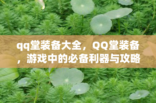 qq堂装备大全，QQ堂装备，游戏中的必备利器与攻略秘籍