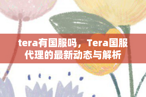 tera有国服吗，Tera国服代理的最新动态与解析