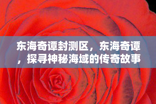 东海奇谭封测区，东海奇谭，探寻神秘海域的传奇故事