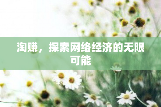 淘赚，探索网络经济的无限可能