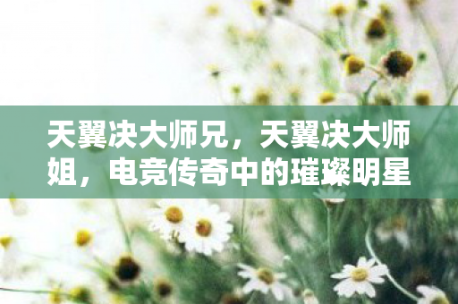 天翼决大师兄，天翼决大师姐，电竞传奇中的璀璨明星