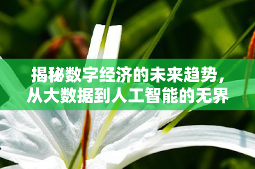 揭秘数字经济的未来趋势，从大数据到人工智能的无界融合