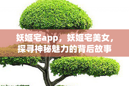 妖姬宅app，妖姬宅美女，探寻神秘魅力的背后故事