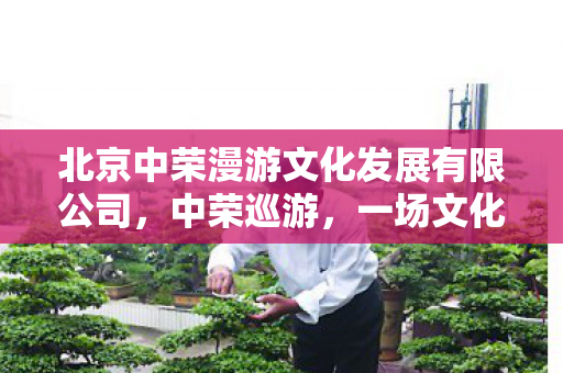 北京中荣漫游文化发展有限公司，中荣巡游，一场文化与商业的盛宴
