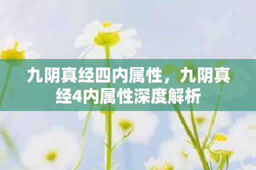 九阴真经四内属性，九阴真经4内属性深度解析