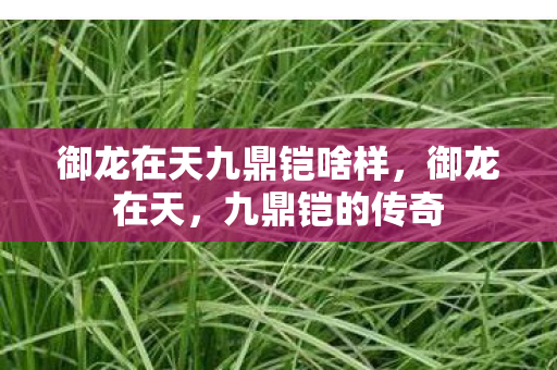 御龙在天九鼎铠啥样，御龙在天，九鼎铠的传奇