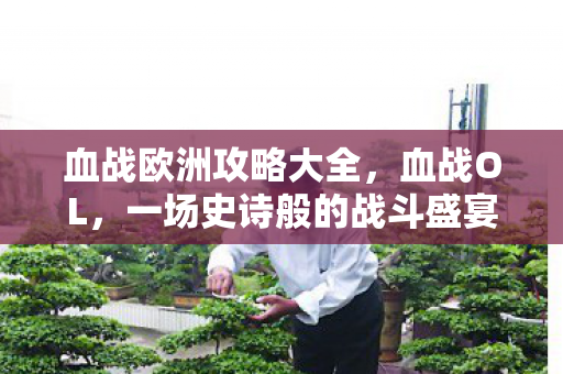 血战欧洲攻略大全，血战OL，一场史诗般的战斗盛宴