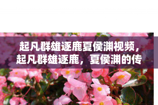 起凡群雄逐鹿夏侯渊视频，起凡群雄逐鹿，夏侯渊的传奇之路