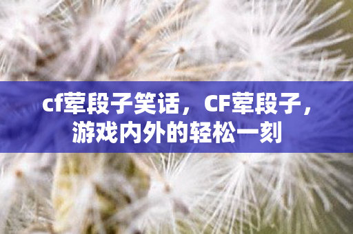 cf荤段子笑话，CF荤段子，游戏内外的轻松一刻