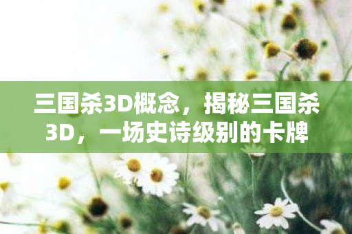 三国杀3D概念，揭秘三国杀3D，一场史诗级别的卡牌策略盛宴