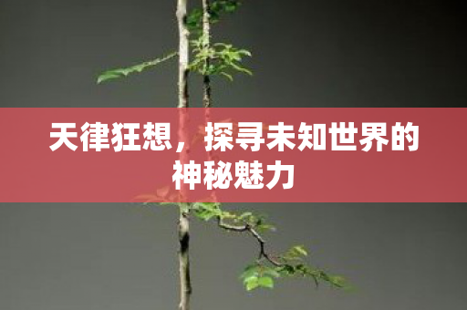 天律狂想，探寻未知世界的神秘魅力